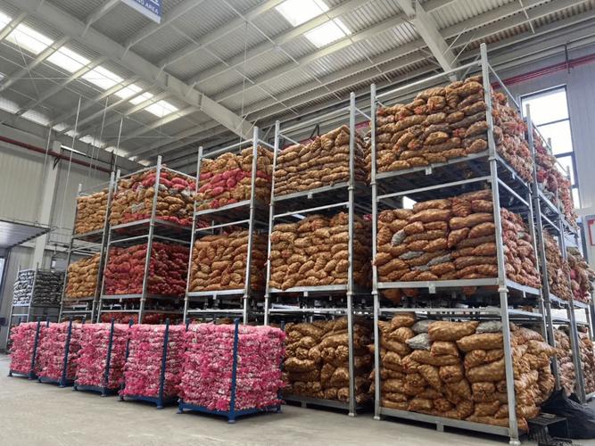 貴州首次！大蒜類生鮮農產品自主出口中東市場，生鮮食品邁出國際化關鍵一步